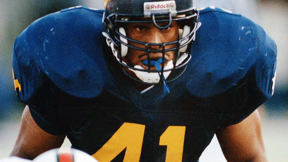 Blue-Gold